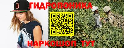 мяу мяу мука Гусь-Хрустальный