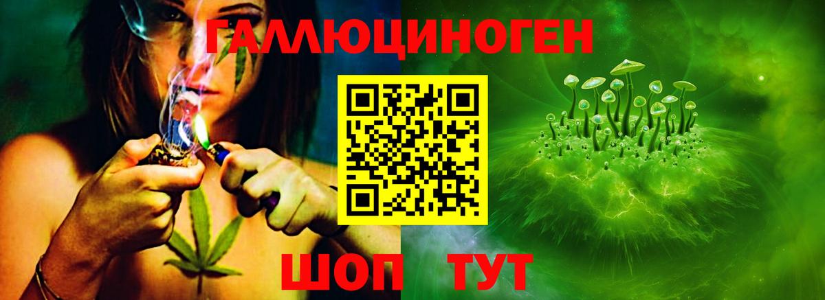Псилоцибиновые грибы Magic Shrooms Истра